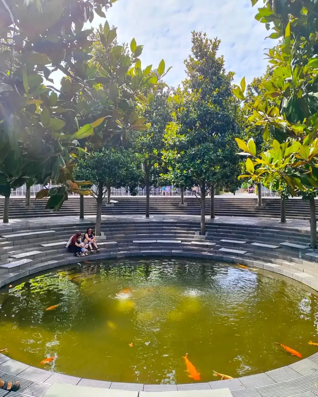 Плоды Магнолии Грандифлоры не уступают по красоте её цветку 🌸