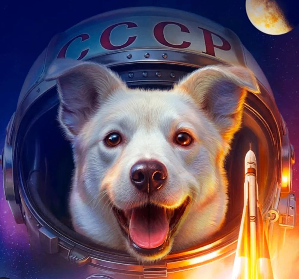 🚀5 Б готовится к покорению космоса - «Моя собака — космонавт» 🐾  — Там всё основано на реальных собы
