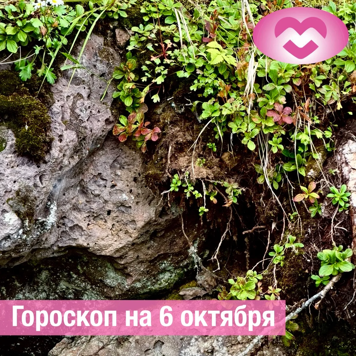 ♈ Овен