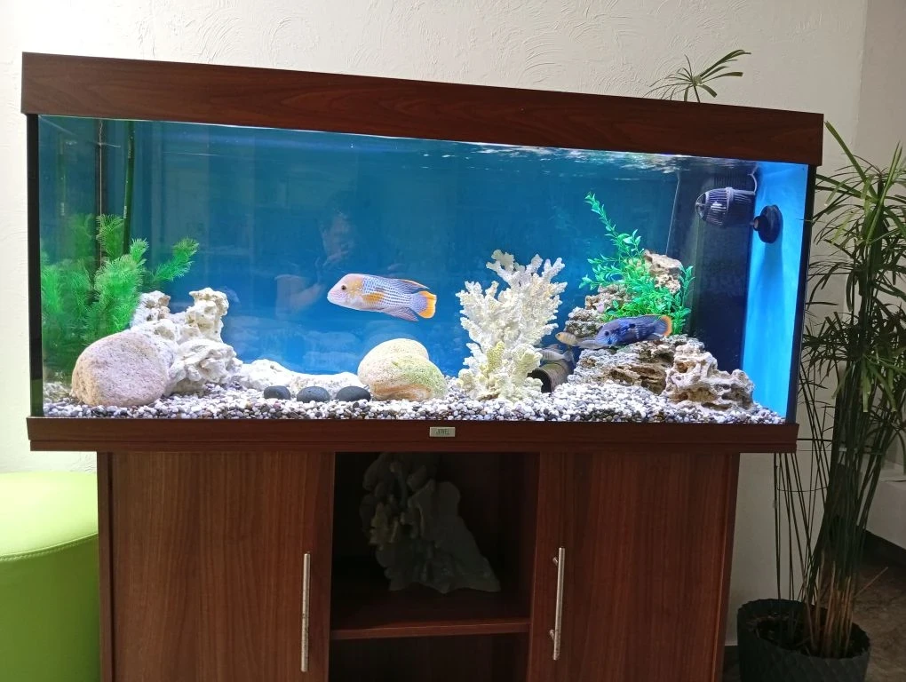 Для детей мы тоже стараемся😊, один из аквариумов во Дворце Молодёжи, после недавней реконструкции з