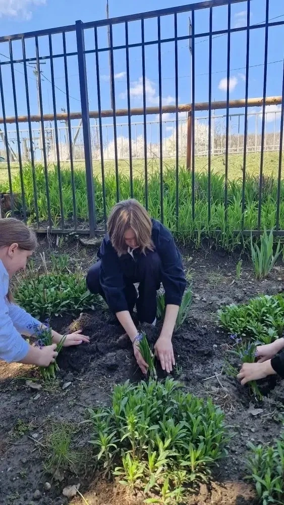 🌷В округе проходит целый цикл мероприятий, посвящённых Дню Победы  В станице Георгиевской учащиеся ш
