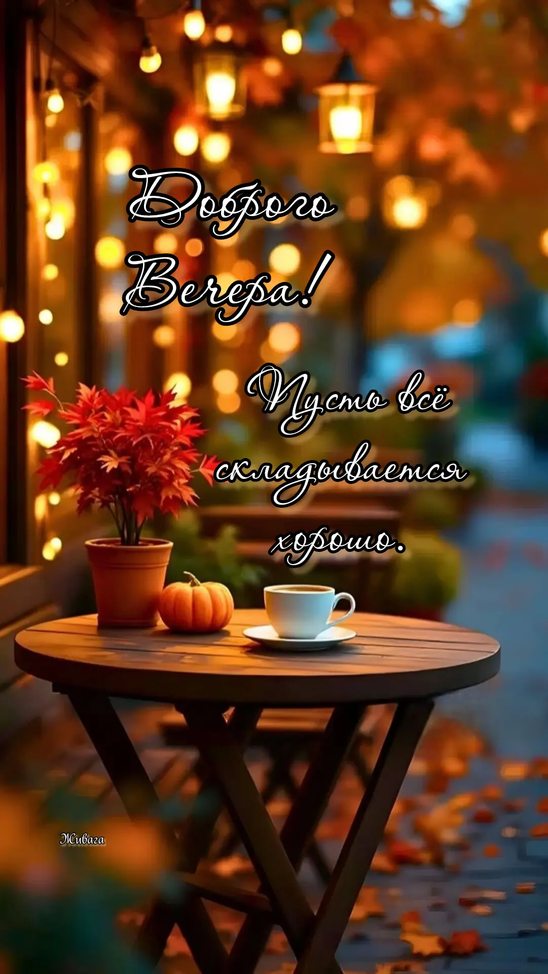 Добрый вечер.