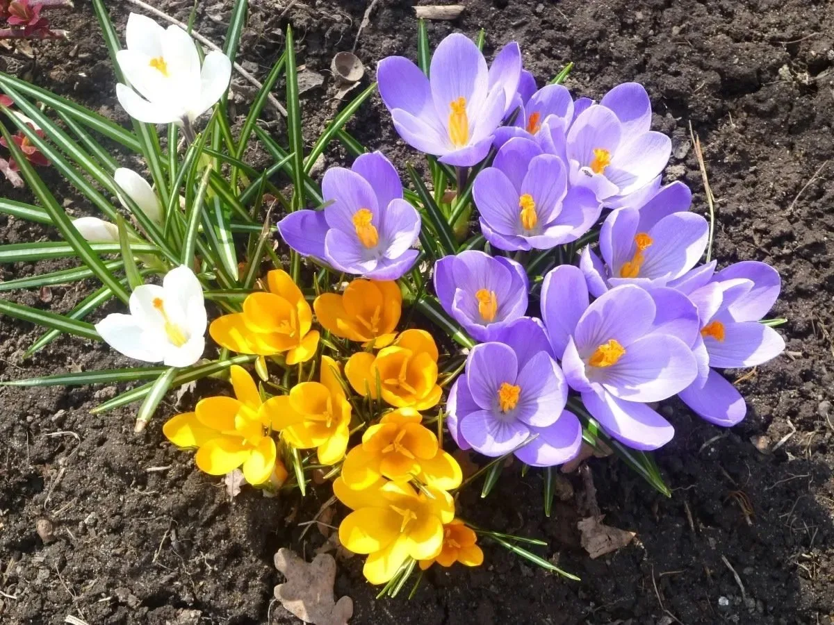 Уважаемые жители!  🌞🌷С приходом весны все дворники активно наводят порядок: убирают песок, приводят 