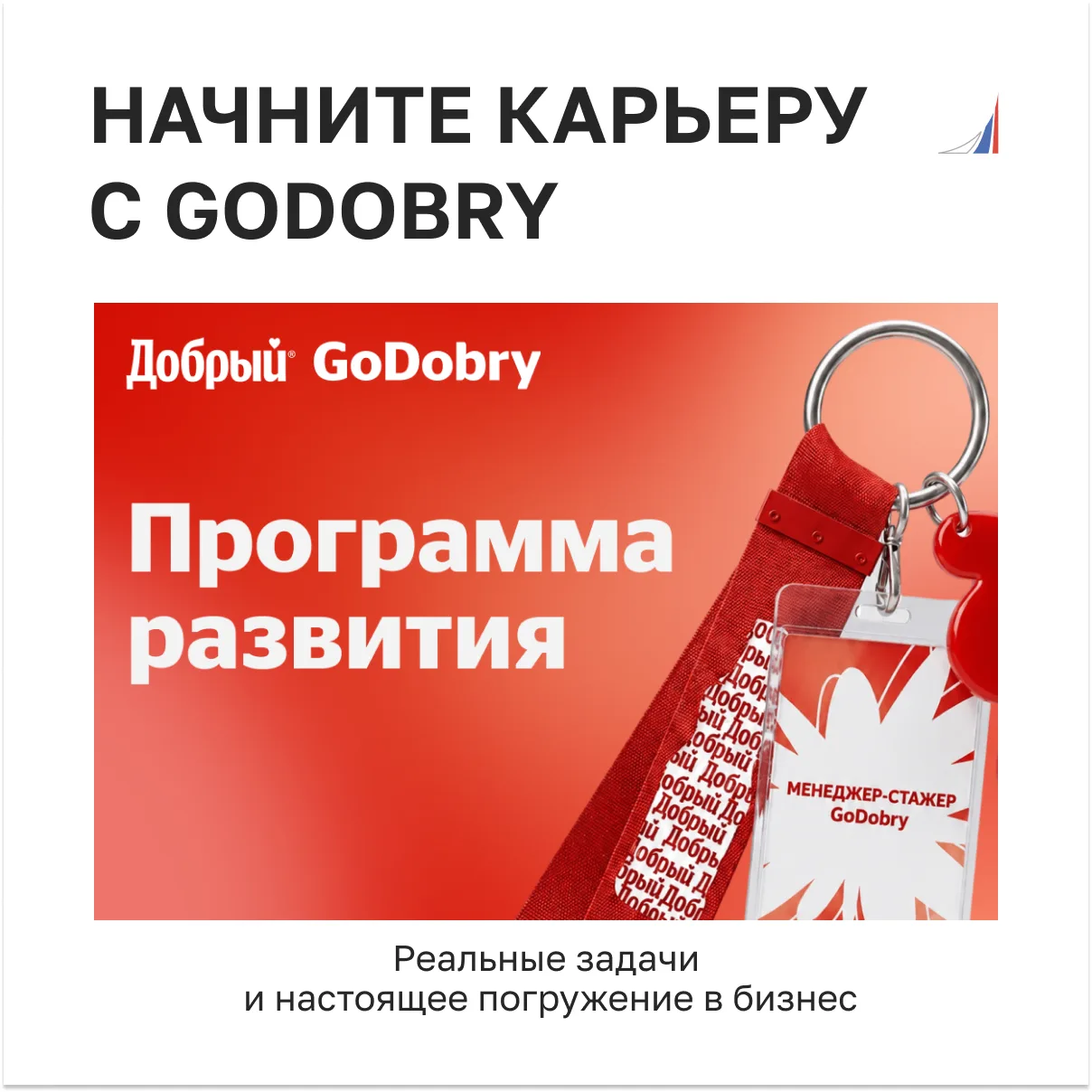 ⚡️ Начните карьеру с программой развития GoDobry