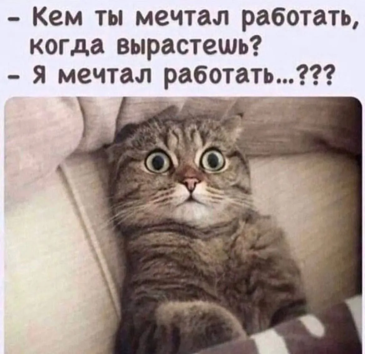 ☝😅