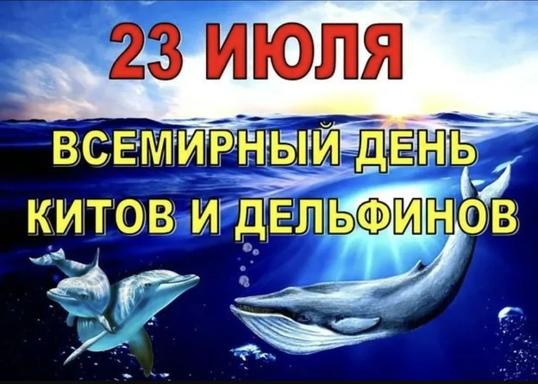 Всемирный день китов и дельфинов в 2026 году отмечается 23 июля. 

Праздник был учреждён в 1986 году