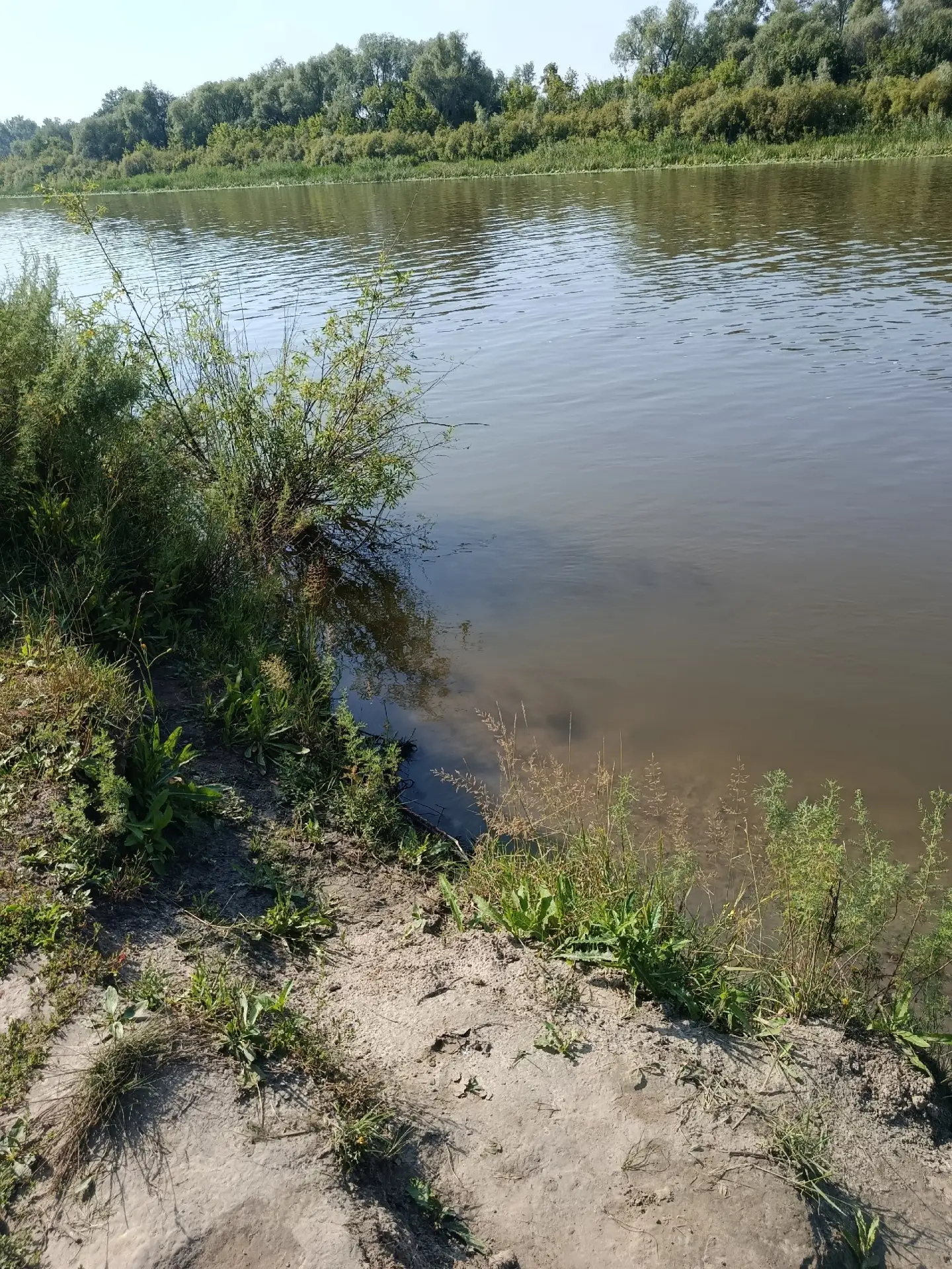 🌞 Календарное лето подходит к концу, а значит — завершается и купальный сезон. Но даже...