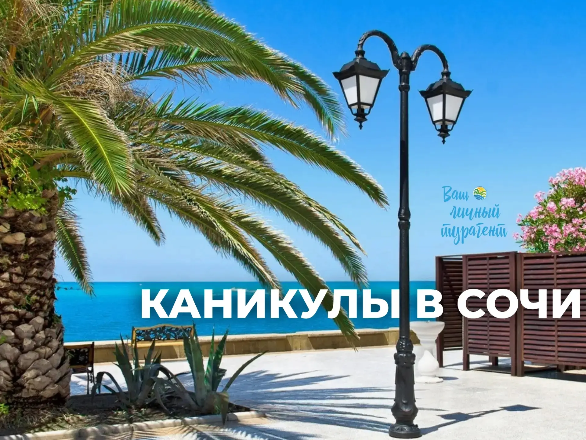 🌴 В СОЧИ НА КАНИКУЛЫ
