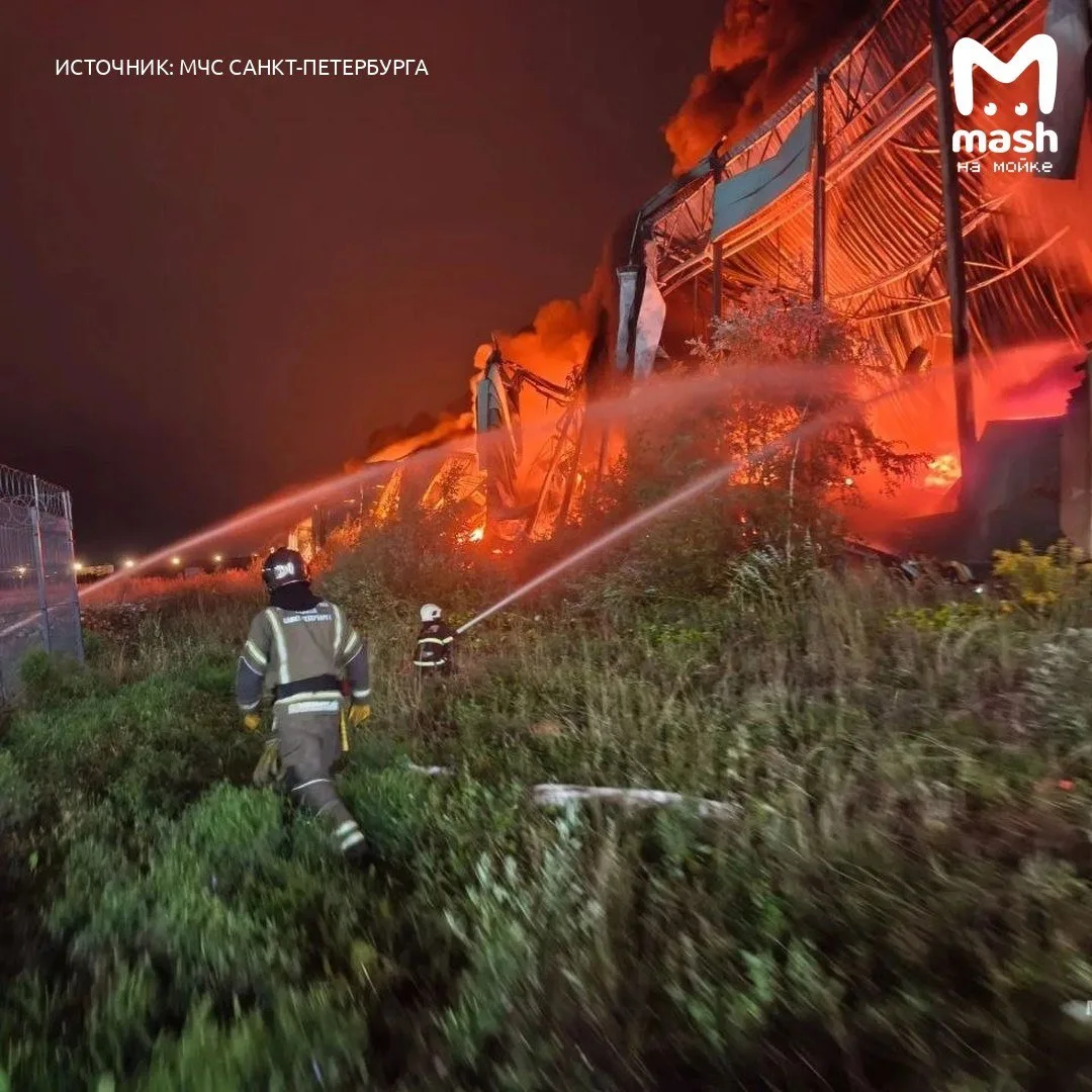Мощнейший пожар в Пушкинском районе не даёт ликвидировать сильный ветер — всю ночь и ут...