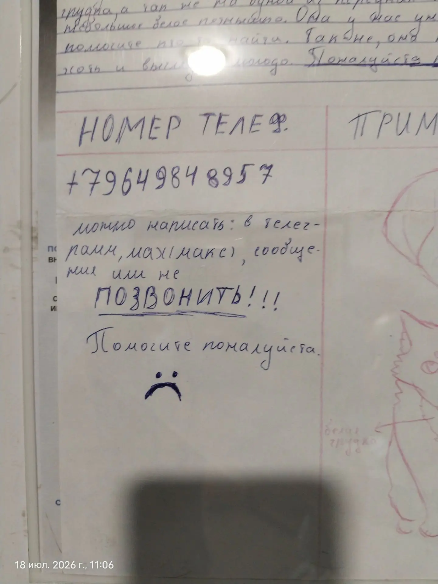 Пропала кошка на Теннисной 25 Б