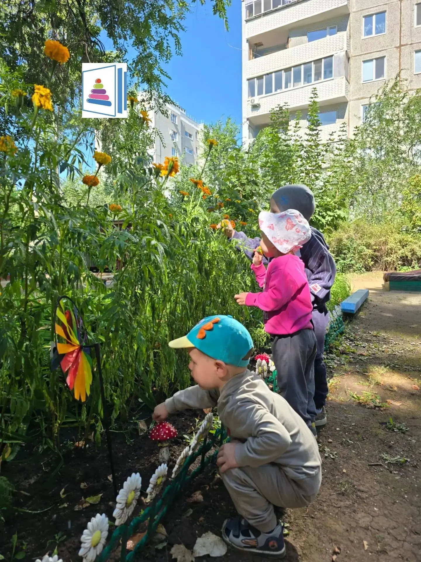 «Эколята» познают летний мир! 🐞🌻