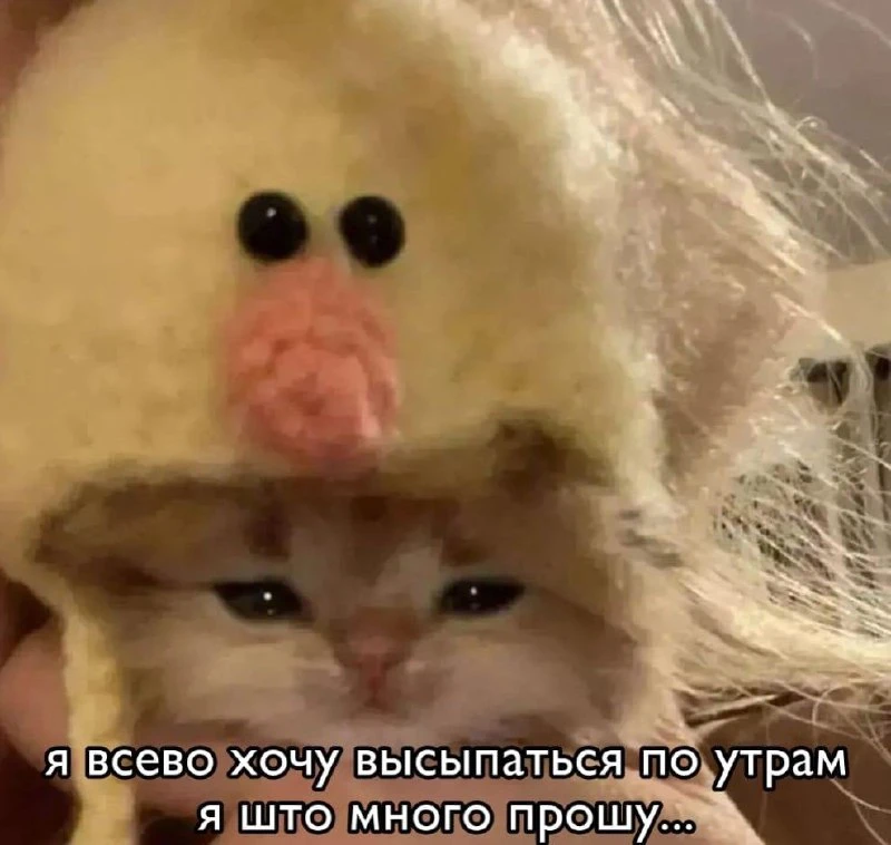 Мемы каждый день • Подписаться