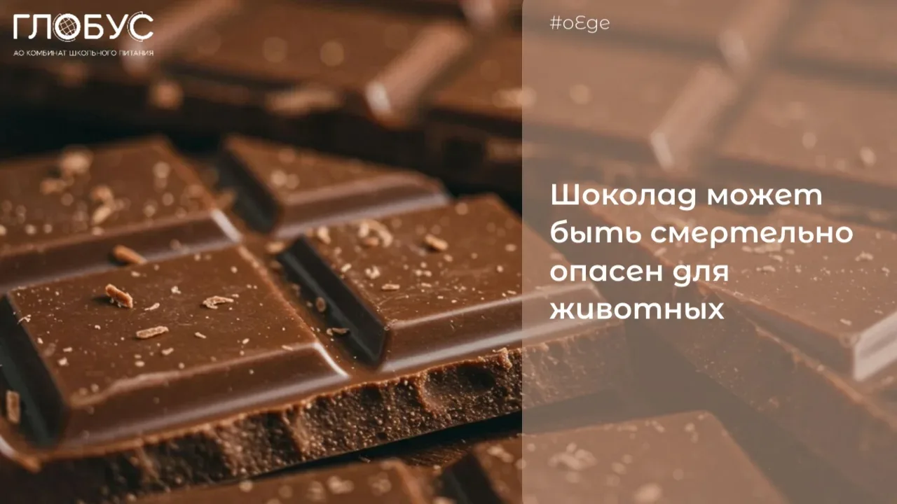 #оЕде
 
 🍫О ШОКОЛАДЕ🍫

✅Ежедневно мы готовим, едим и выбираем продукты, даже не думая, что наша пр