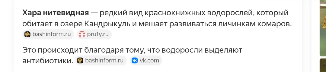 А где КО-МА-РЫ? Потравили что ли всех?"
Да нет их у нас!!! Нет ос в этом году, мух, слепней. Пауки е