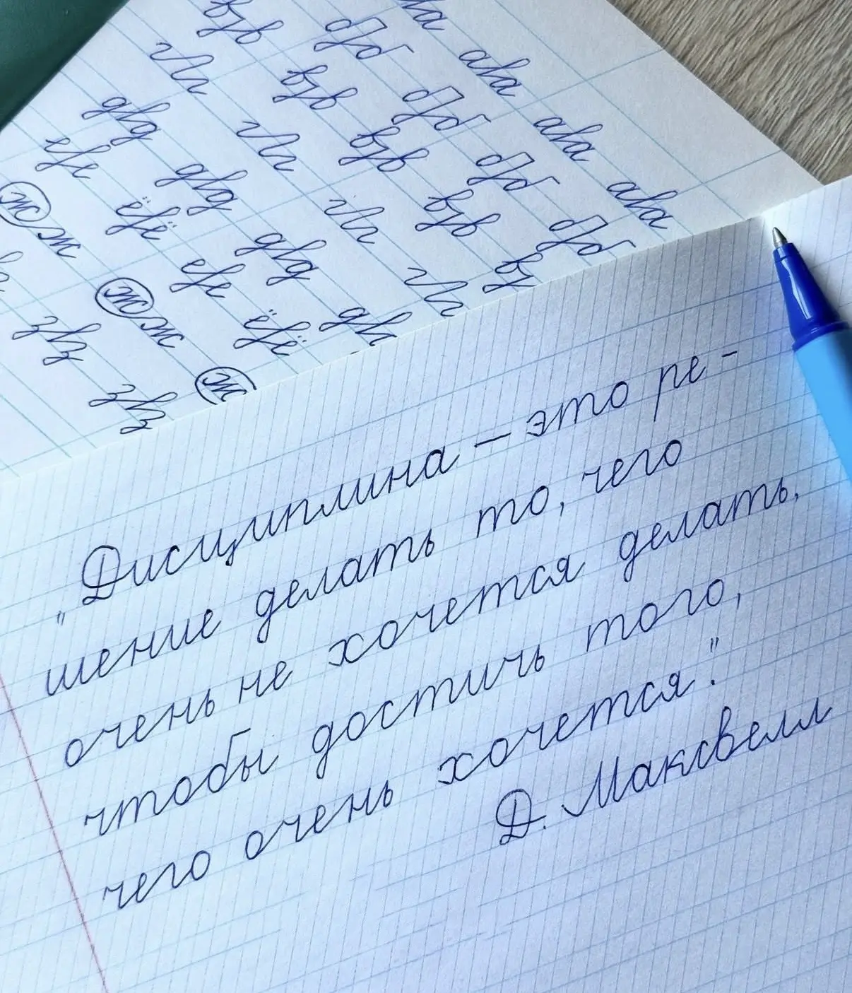Факт ✅