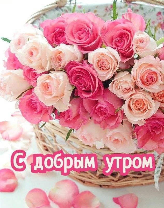 Делитесь открыткой с друзьями и поддерживайте реакцией 😍

Твои открытки - подписаться