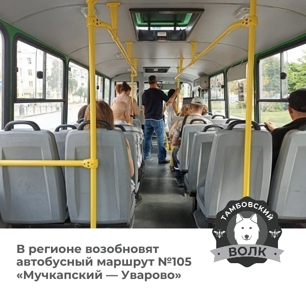В Тамбовской области снова запустят автобус №105 «Мучкапский — Уварово»🚌