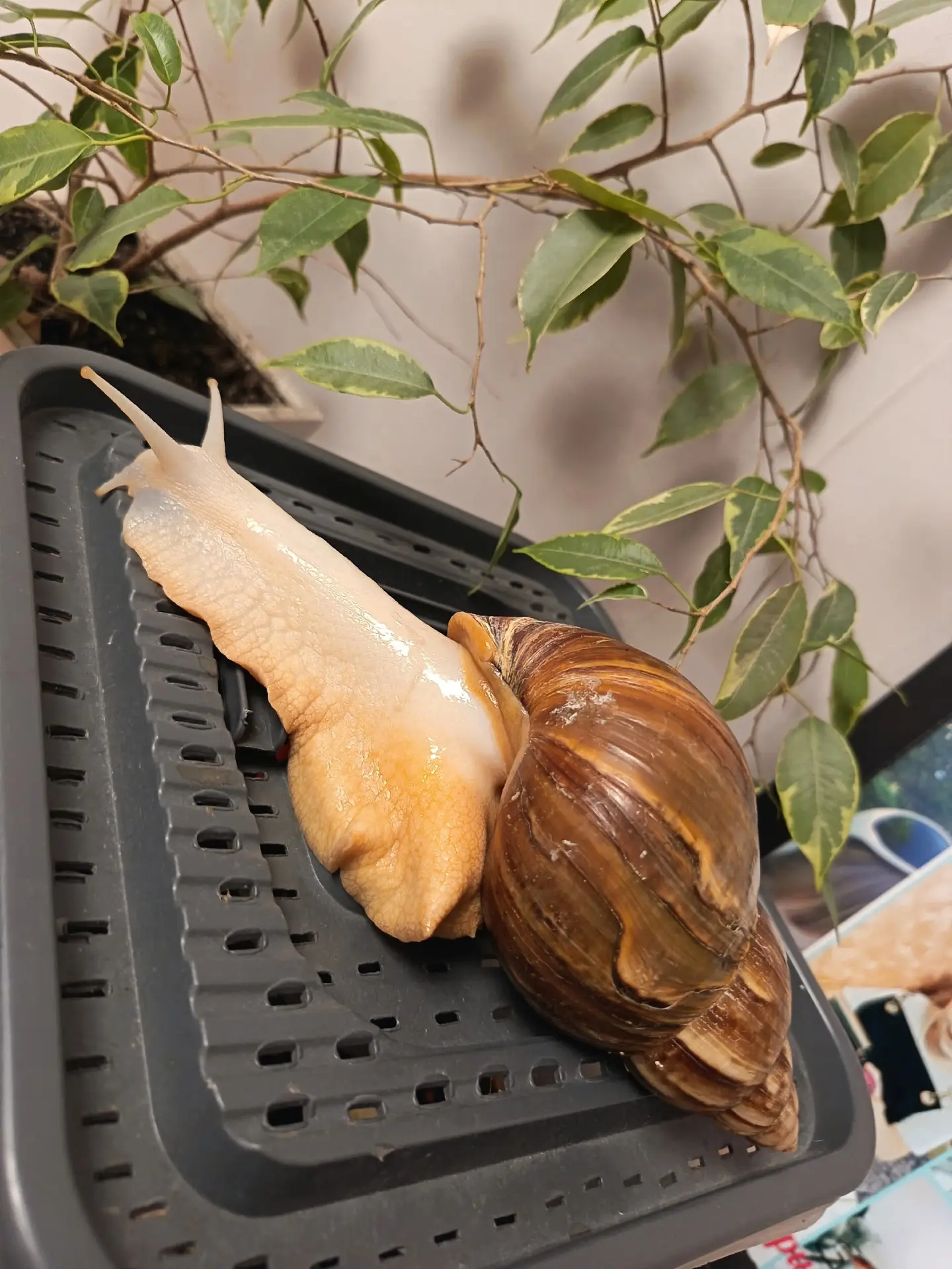 🐌 Расписание на вторник 24.02.2026
