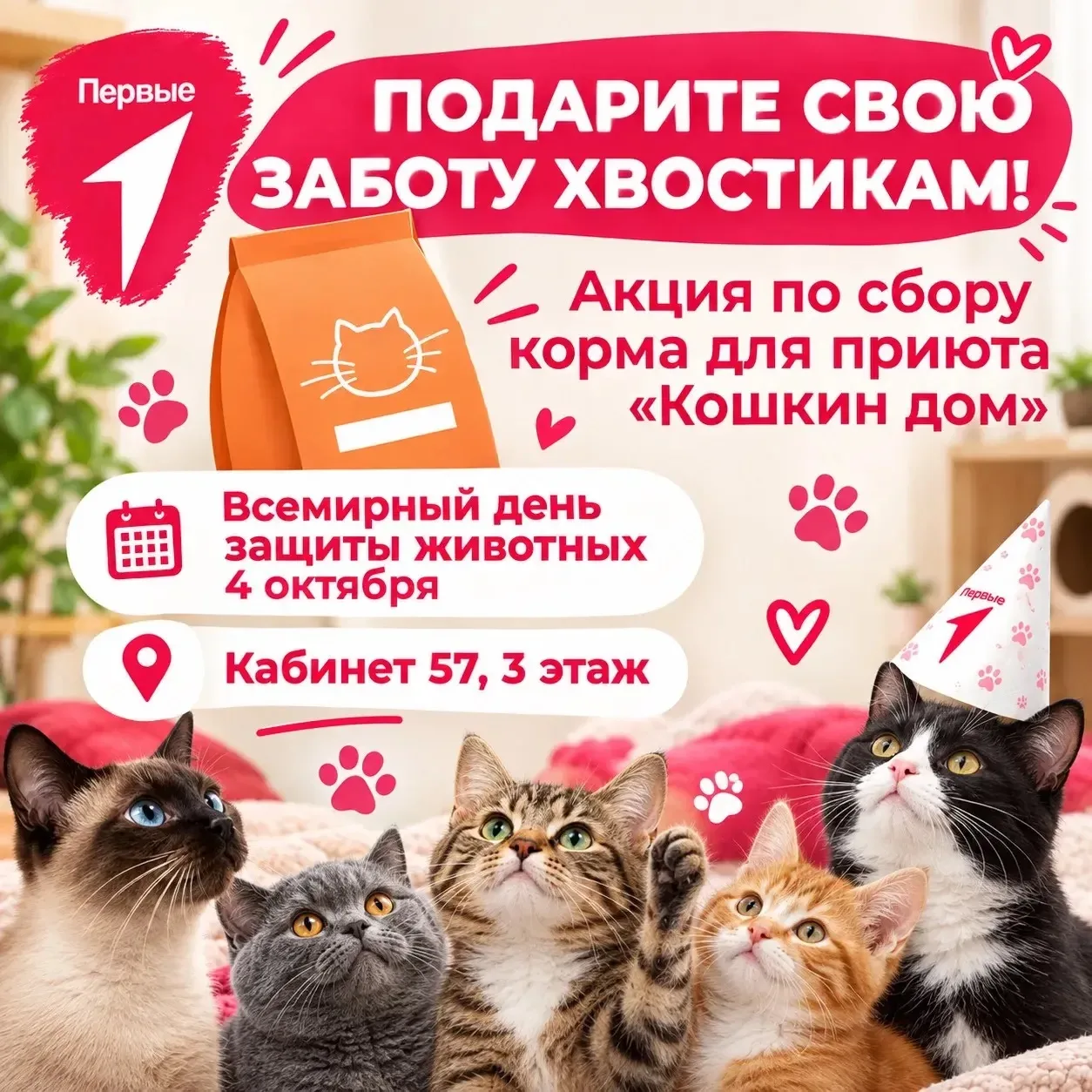 🧡 Подари заботу хвостикам!