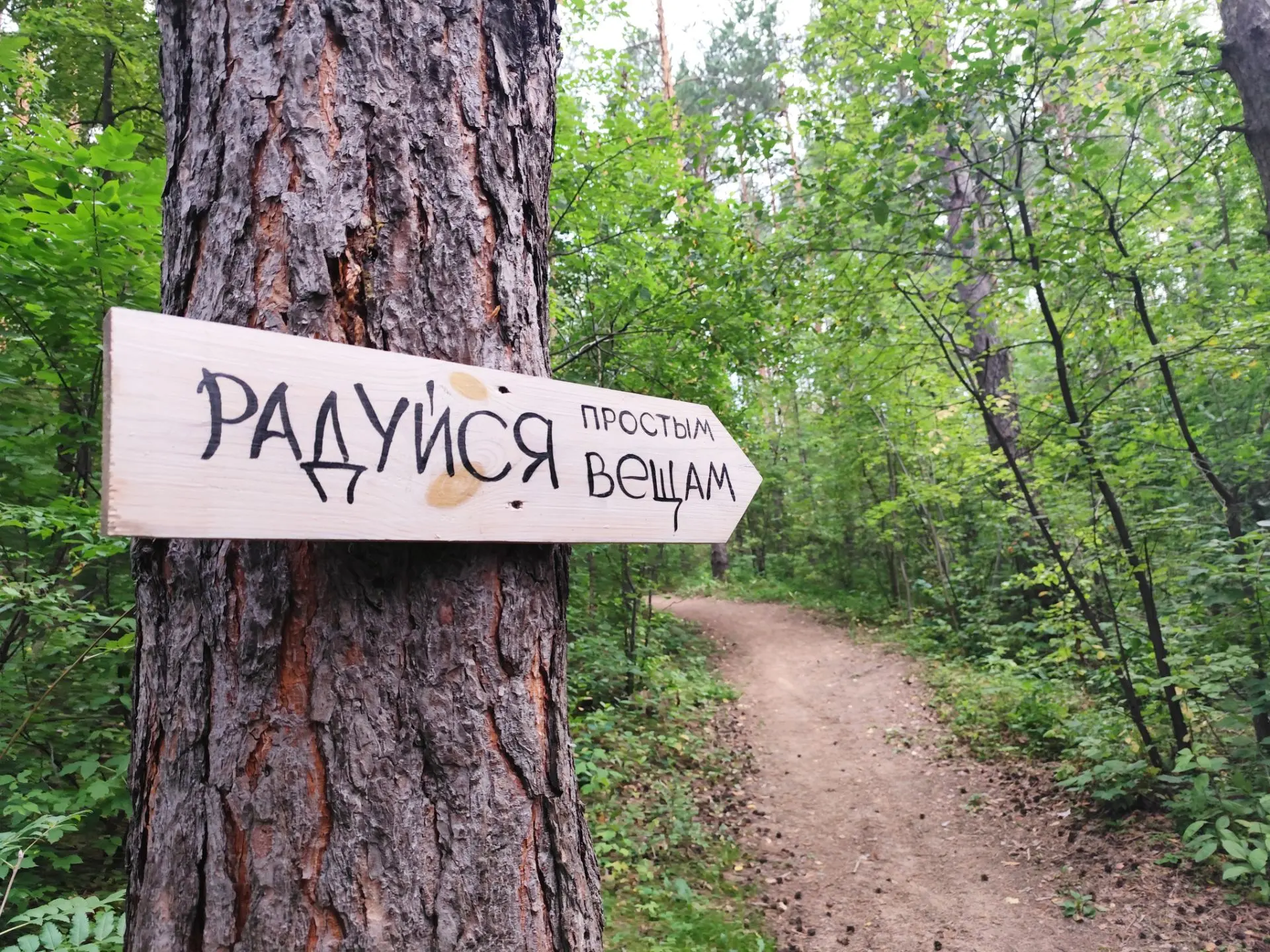Доброе утро, Белокуриха! 🌿