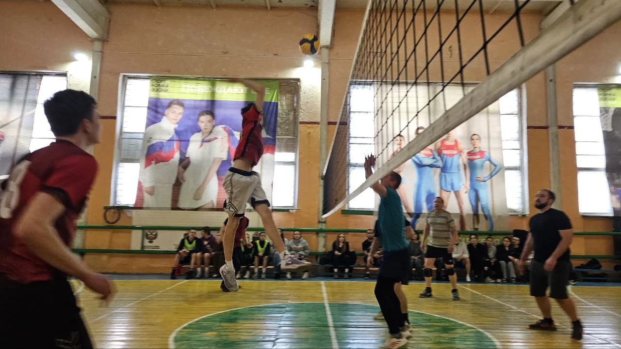 Сегодня в спортзале зооветколледжа прошли традиционные районные соревнования по волейбо...