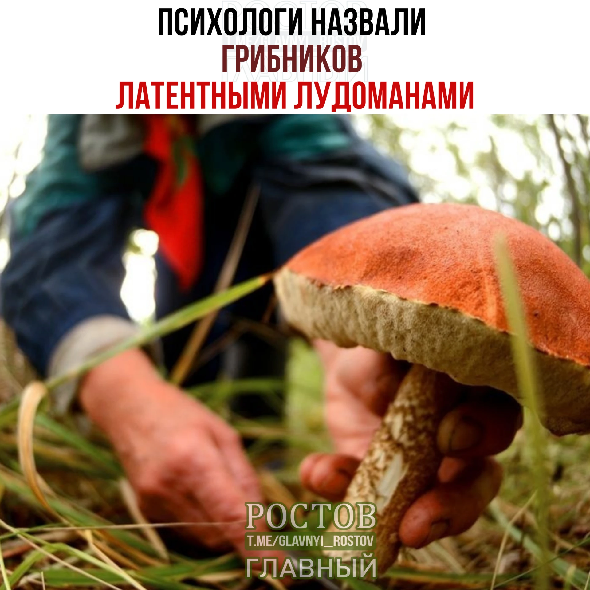 Изображение 1 к публикации «РОСТОВ ГЛАВНЫЙ - новости Ростова-на-Дону - 161»