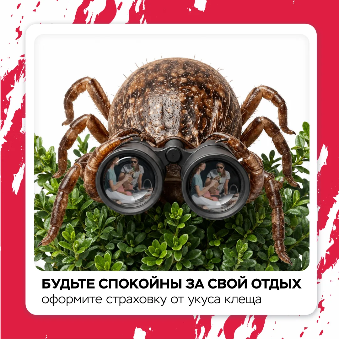 Подготовьтесь к поездке на природу с услугами страхования 🔖 

Знаете ли вы, кто поджидает вас в гус