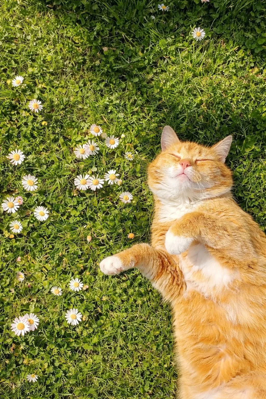 🌸 АВГУСТ СТУЧИТСЯ В ДВЕРЬ — А ЭТО ЗНАЧИТ, НАЧИНАЕТСЯ САМЫЙ ГОРЯЧИЙ СЕЗОН В СТУДИИ!

Девочки, лето в