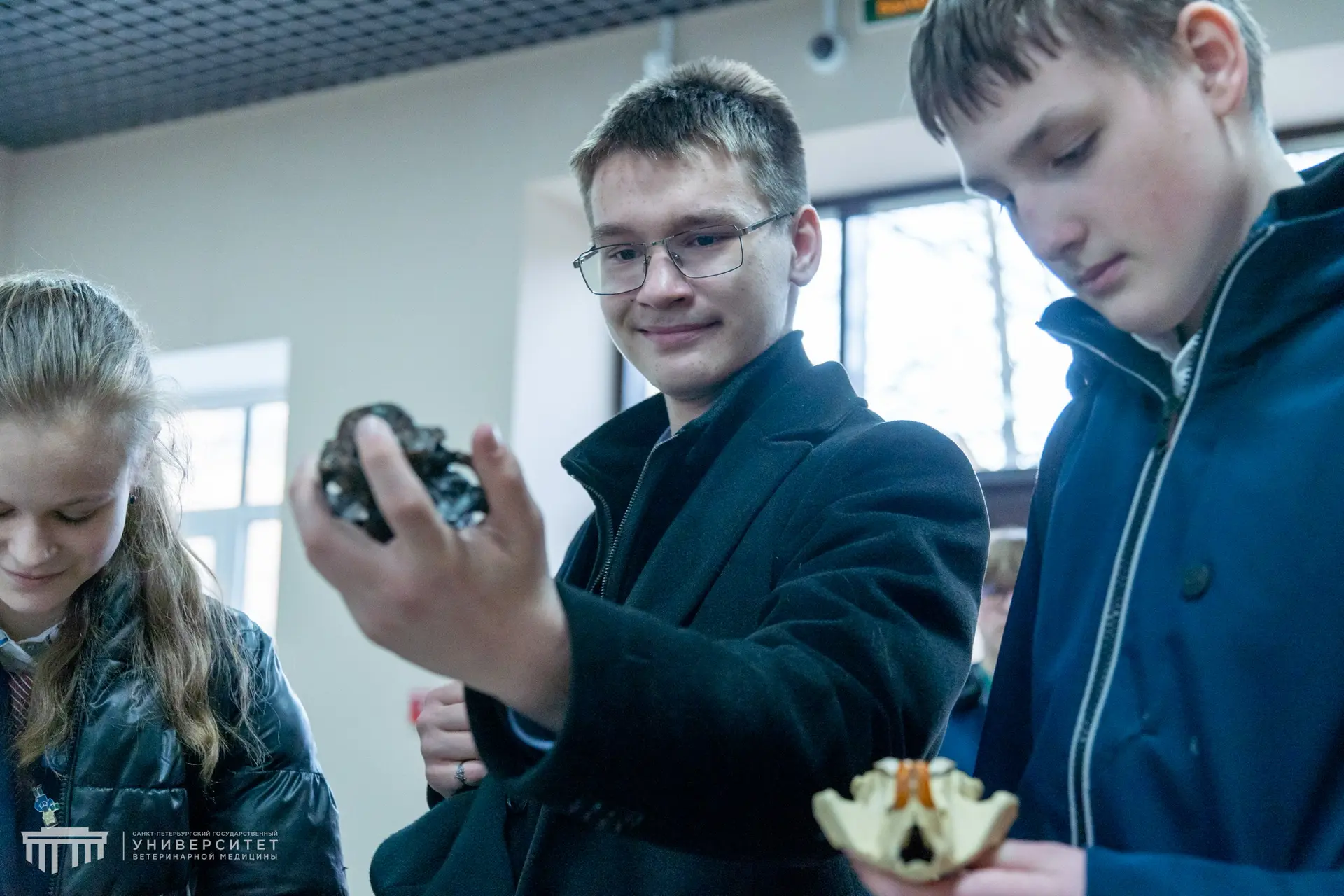 Ученики седьмых Курчатовских классов школы на Глеба Успенского побывали в университете ветеринарной 
