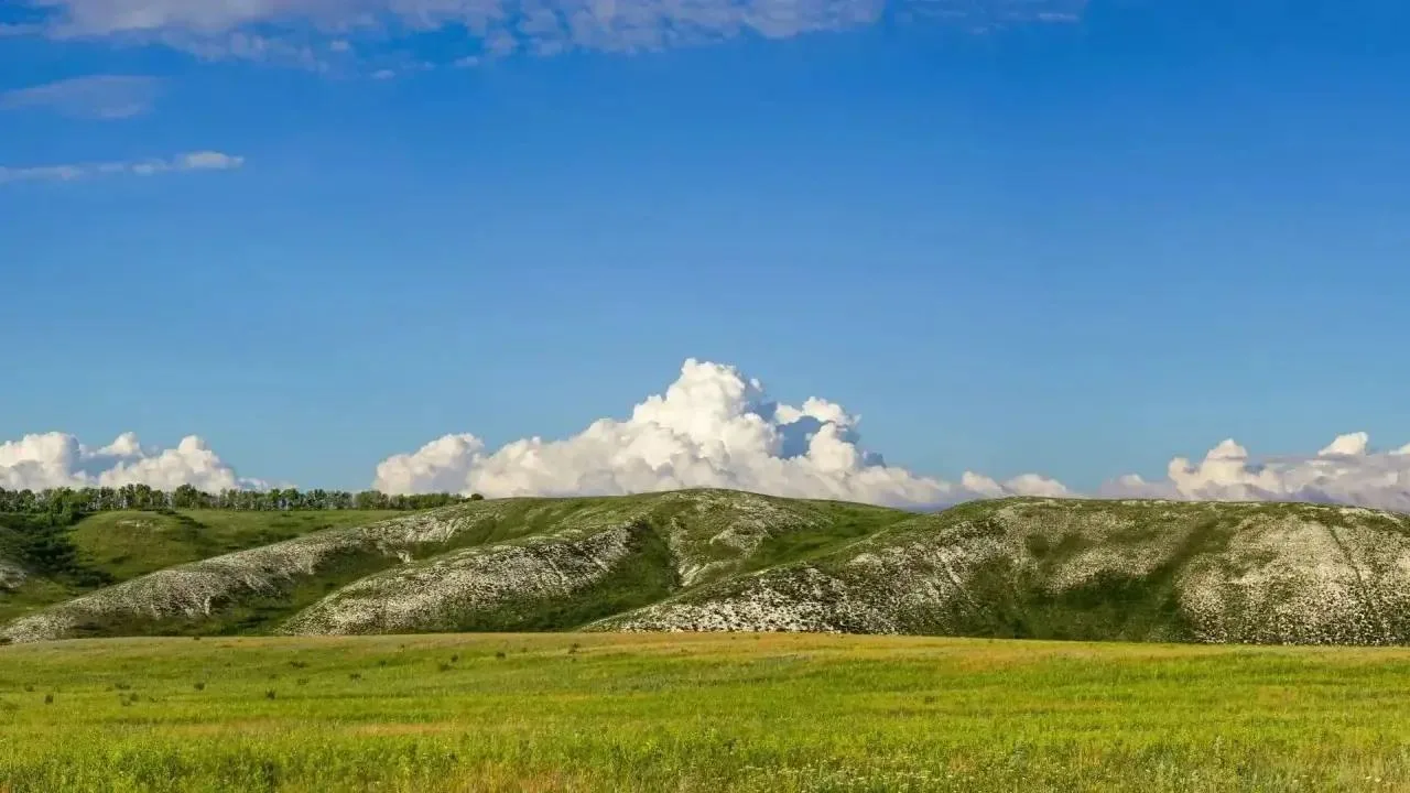 ⛰Выходные в степи: Чесноковские меловые горы в Переволоцком районе

Главная фишка локации — редкая м