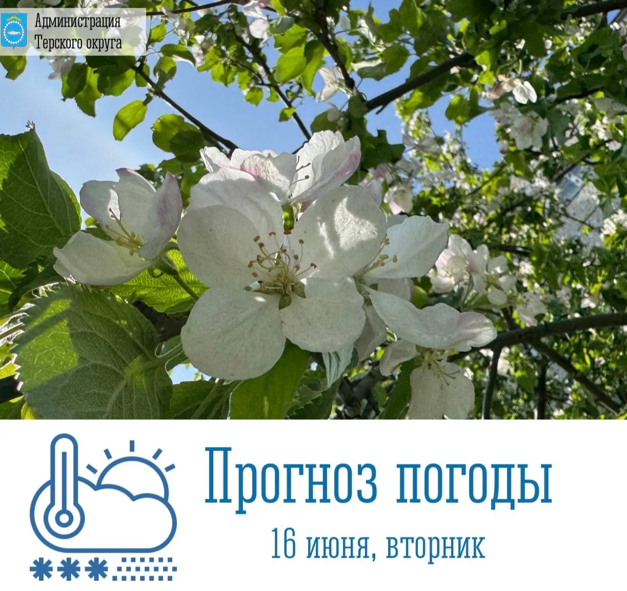 🌥 Доброе утро!

 🗓 Сегодня, 16 июня, в Терском округе и по Мурманской области ожидается облачная с