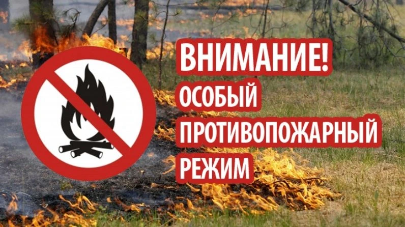 Уважаемые жители и гости Колпашевского района!