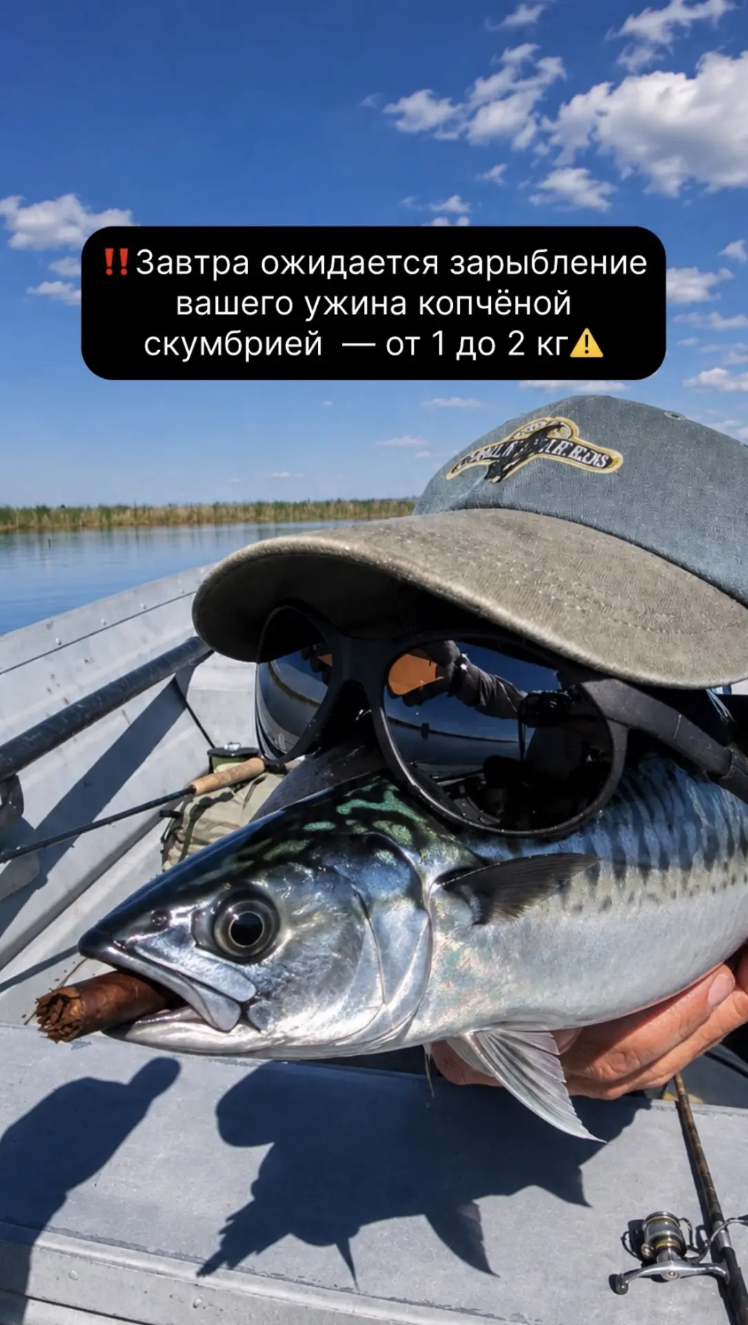 Изображение 1 к публикации «Х5 Клуб - Всегда Выгодно»