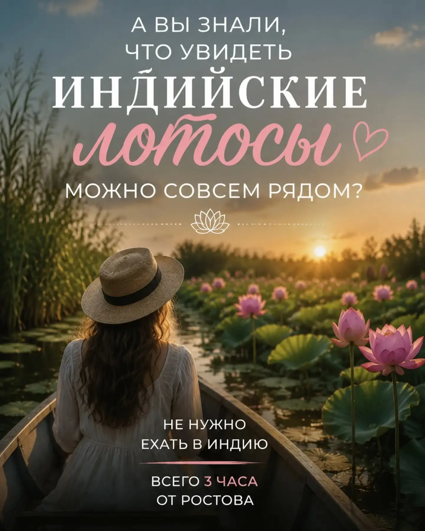 🌸 Не нужно ехать в Индию, чтобы увидеть индийские лотосы…