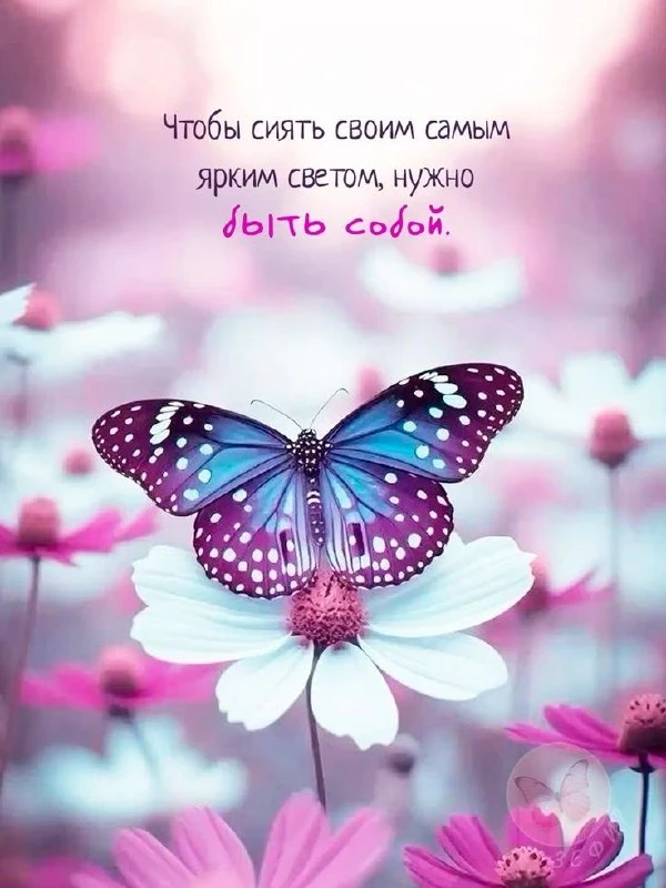 🌹Открытки для любимых
