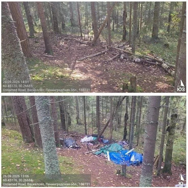 В лесах Ленобласти с начала года вывезли около 3,8 тысячи кубометров мусора