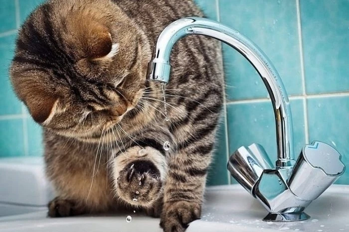 Салдинской водой можно мыться?