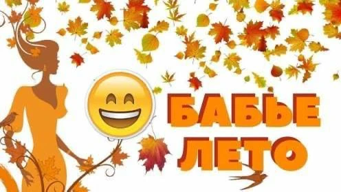 В Ульяновской области наконец-то случилось то самое «индийское лето». Синоптики обещают...