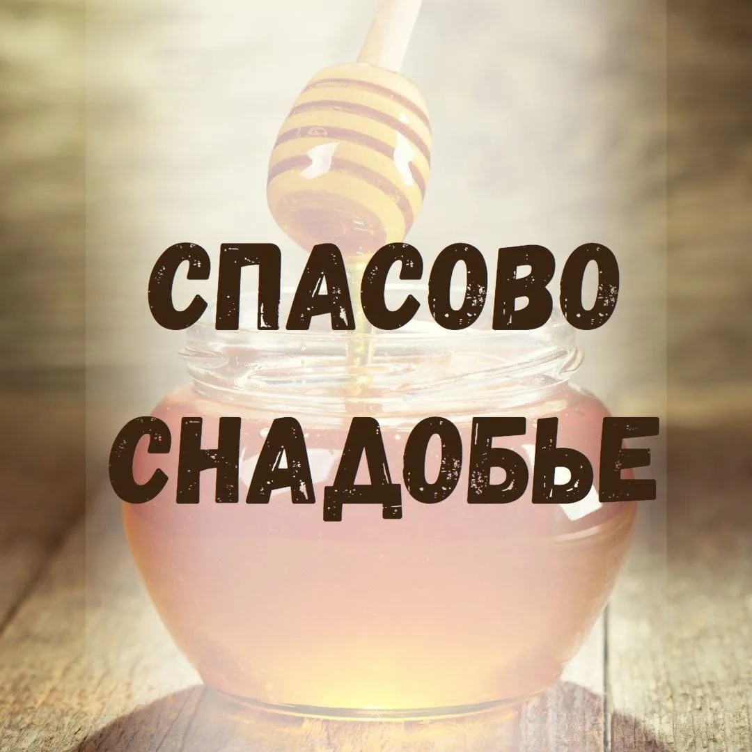 Мои прекрасные солнышки 🌞