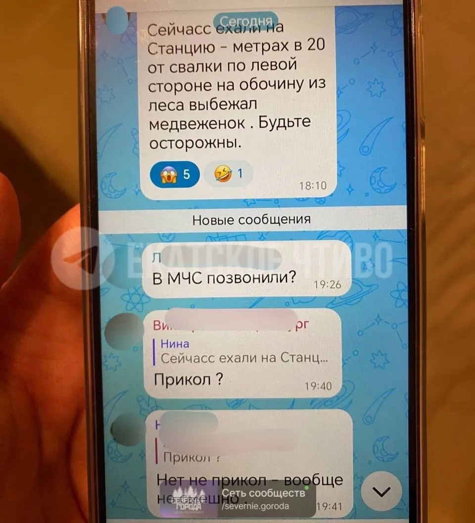 Медведи кошмарят Краснотурьинск уже несколько недель — теперь их заметили в Рудничном. ...