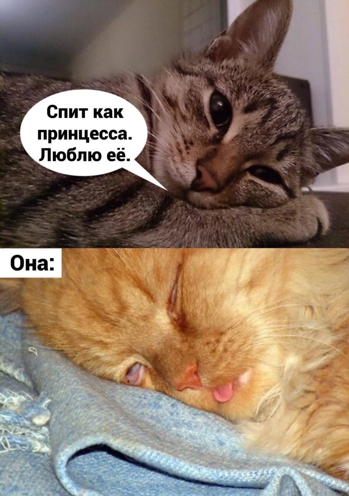 Это любовь! 😊❤