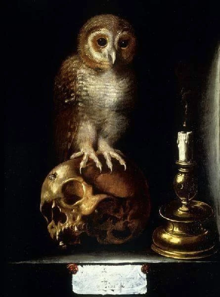 ~ Vanitas with owl, Anonymous, early 17th cent.