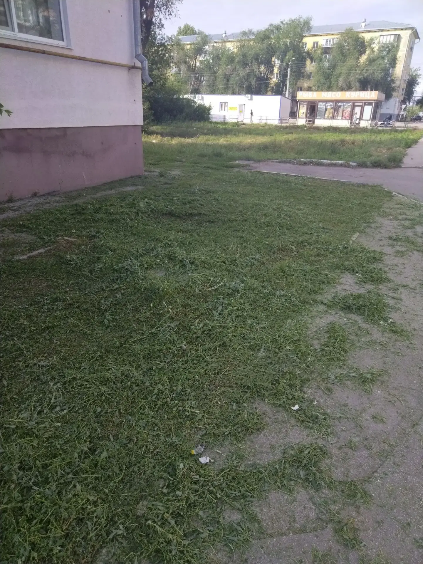 16.08.2026 Плановый покос травы по адресу: ул.Ватутина, д.18б
