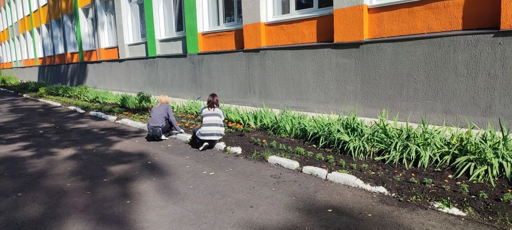 🚩 Летопись 8Г: Трудовой десант продолжается!

Пока одни отдыхают на диванах, наш 8Г заряжается вита