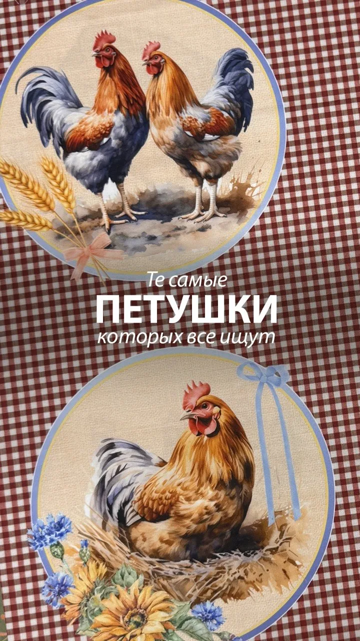 Те самые Петушки,  которых все ищут