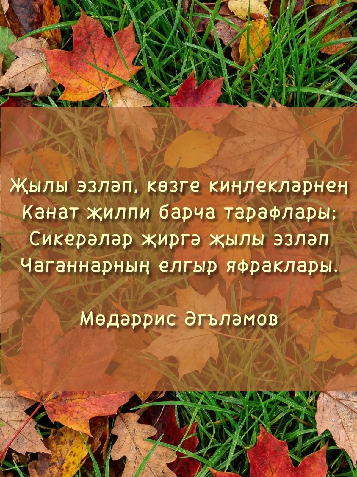 #татар_акылы
