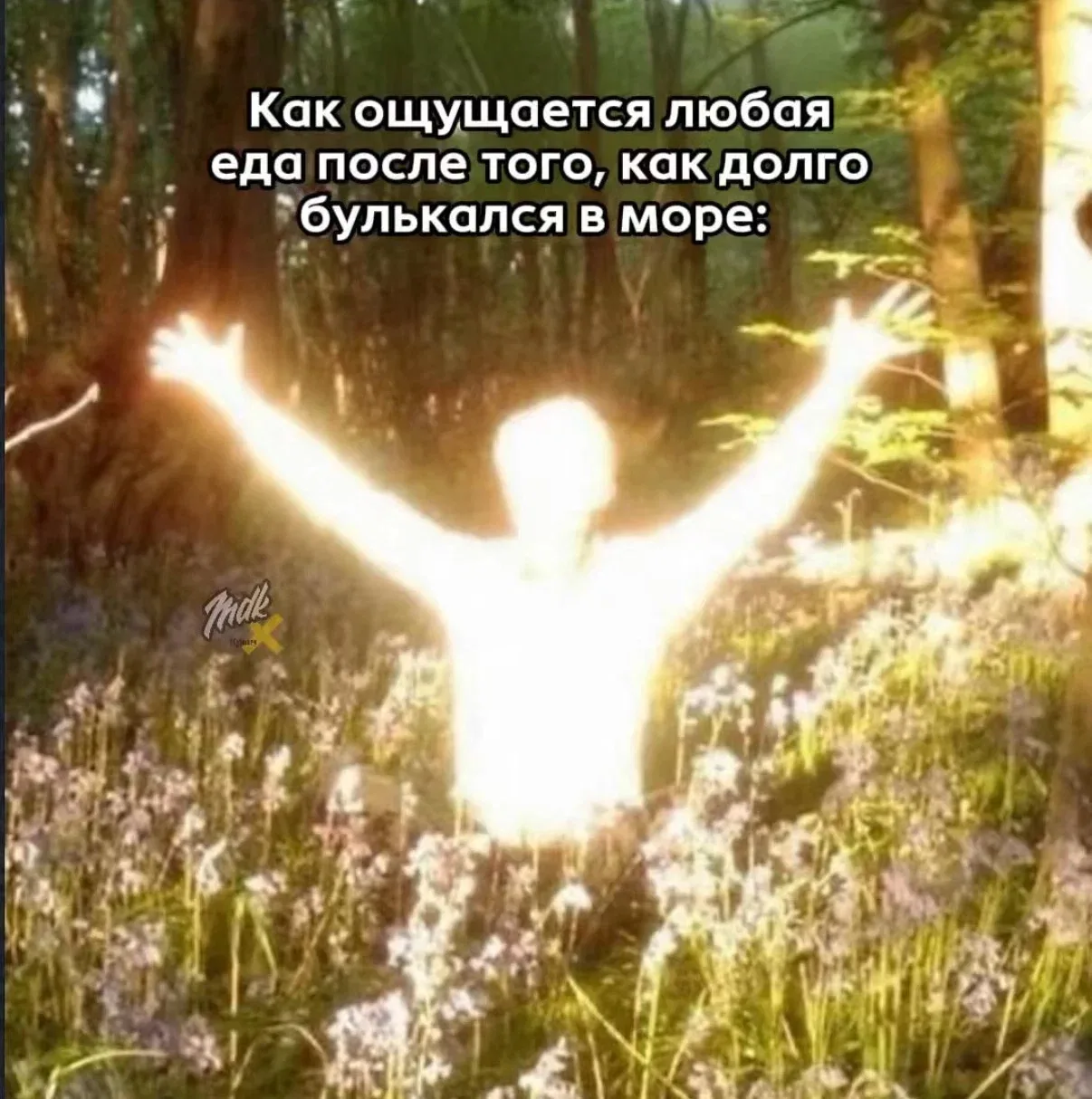 Какая ваша любимая еда на пляже? 

❤️ — вареная кукуруза 
😁 — чебуреки
😎 — креветки
🤩 — то, что п