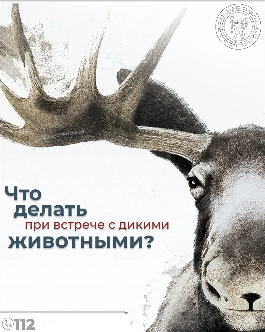 Изображение 2 к публикации «Кириши-Онлайн»