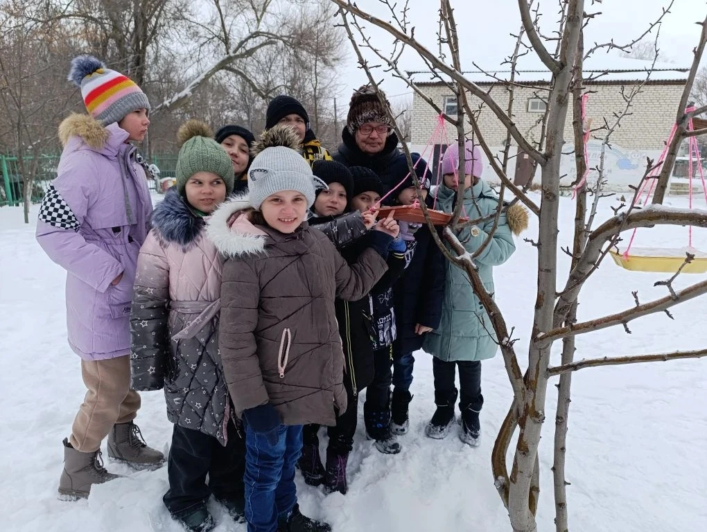 🐦 Важная беседа о зимующих птицах ❄️