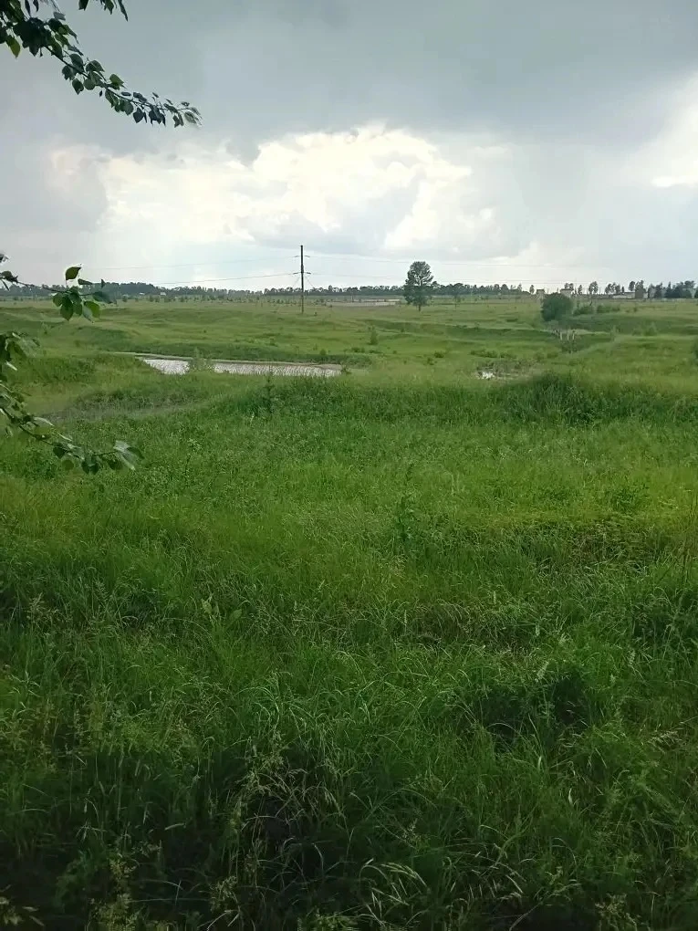 09.06.2026  года был проведен рейд на водоем, расположенный в овраге Дуванный.  В мероп...
